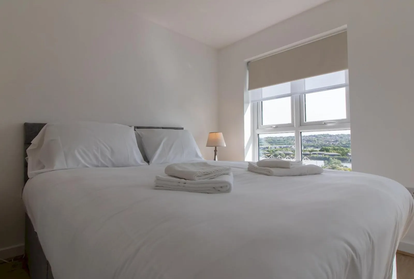 Willa Urban Nest Newcastle - Ptk 0*, Newcastle upon Tyne Wielka Brytania